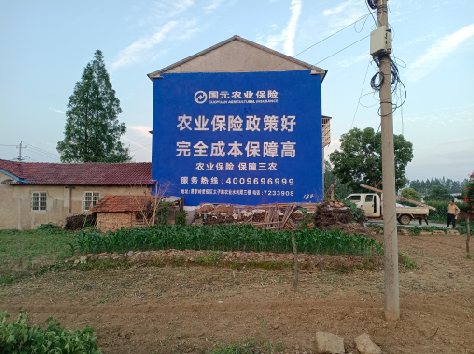 栾川墙体广告的优劣势你知道吗?