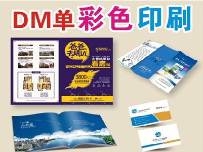  栾川单页印刷，色彩搭配简单。